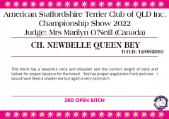 Class 11a - Ch. Newbelle Queen Bey.png